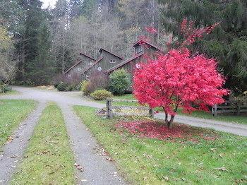 Forest Echoes Cabins Cultus Lake Eksteriør bilde